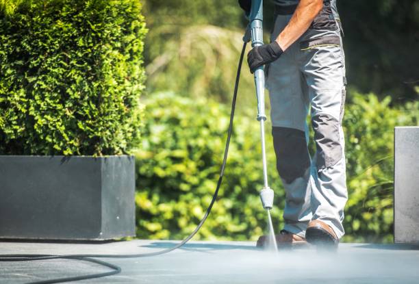Best Driveway Pressure Washing  in Big River, CA