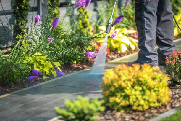 Best Gutter Cleaning  in Big River, CA